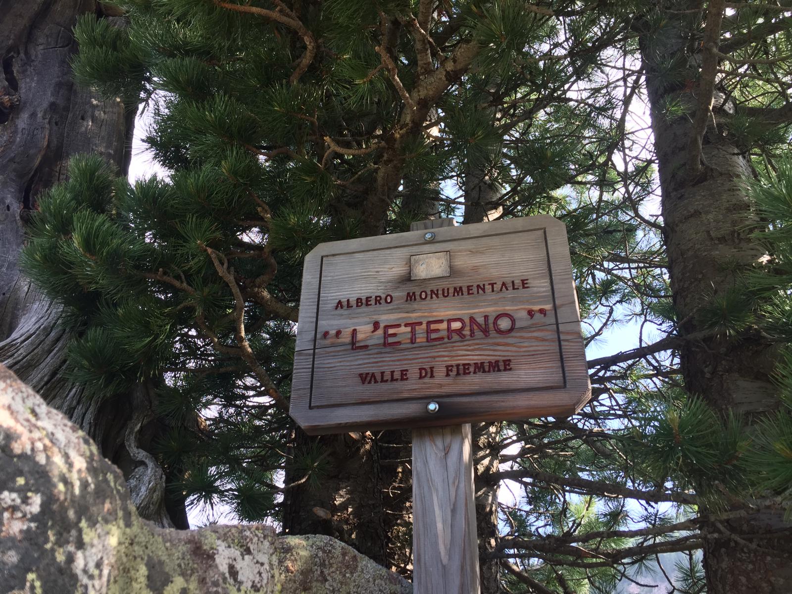 PassoManghen (3).jpeg